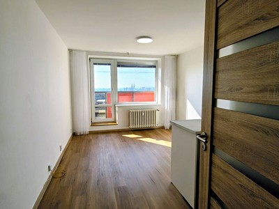 Wohnung 1+kk zur Miete, 30 m² (2 von 18)