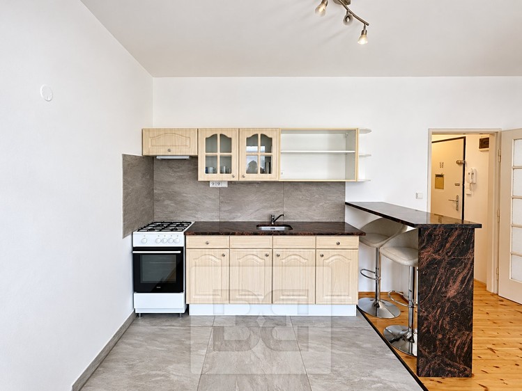 Квартира 1+kk в оренду, 44 м² (6 з 15)