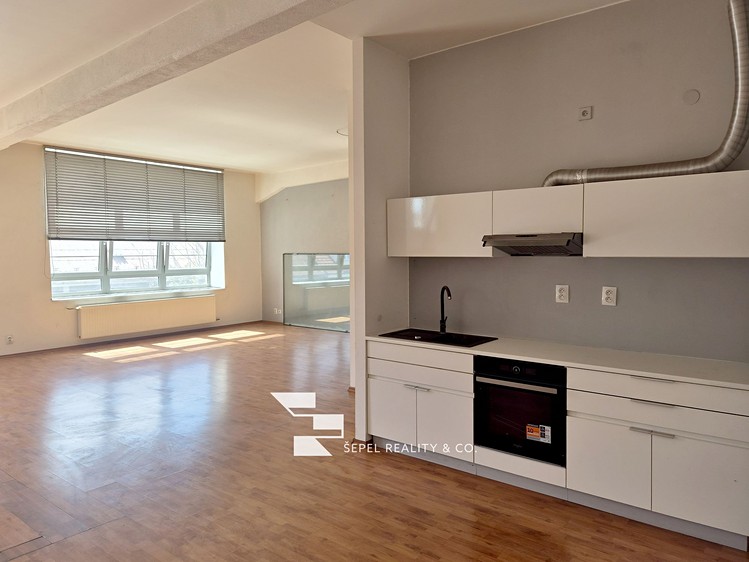 The 2+kk flat for rent, 107 m² (4 of 20)