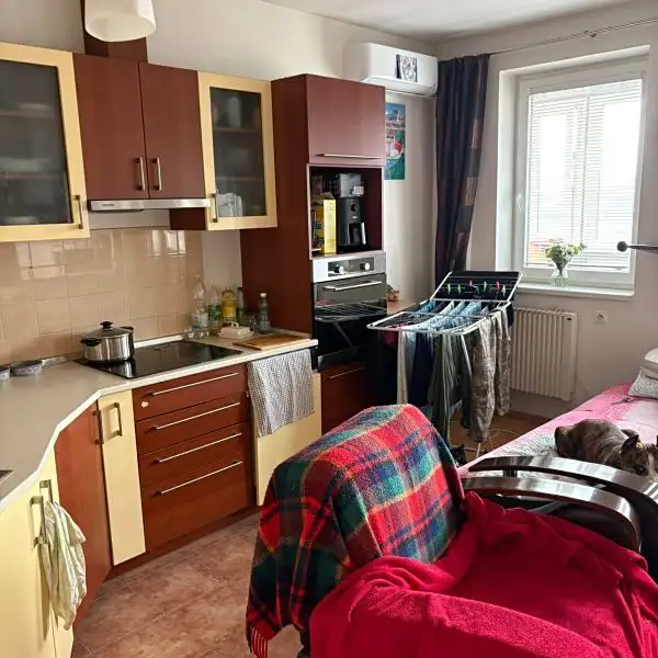 Prodej bytu 2+kk 46 m², Praha – náhled fotky 1