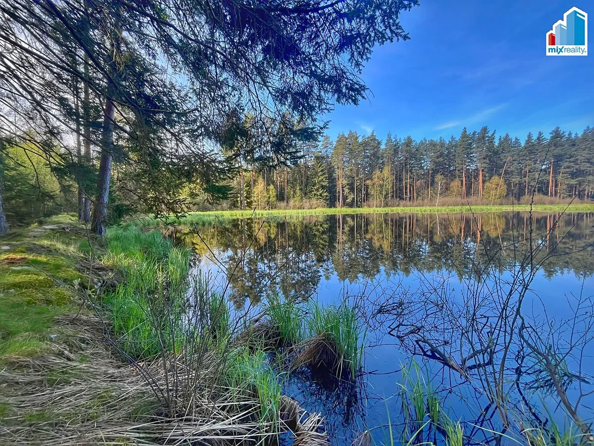 Fotka 6 z 26