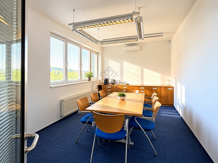 Pronájem komerčního prostoru, 125 m² (43 z 59)