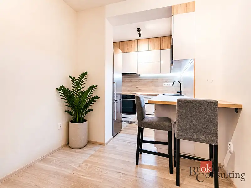 Prodej bytu 1+kk 42 m², Brno – náhled fotky 3