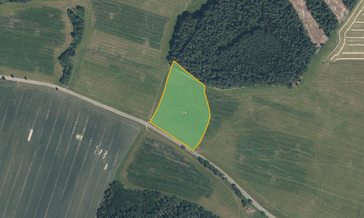 Prodej pole 8875 m², Hostouň – fotka 1 z 3