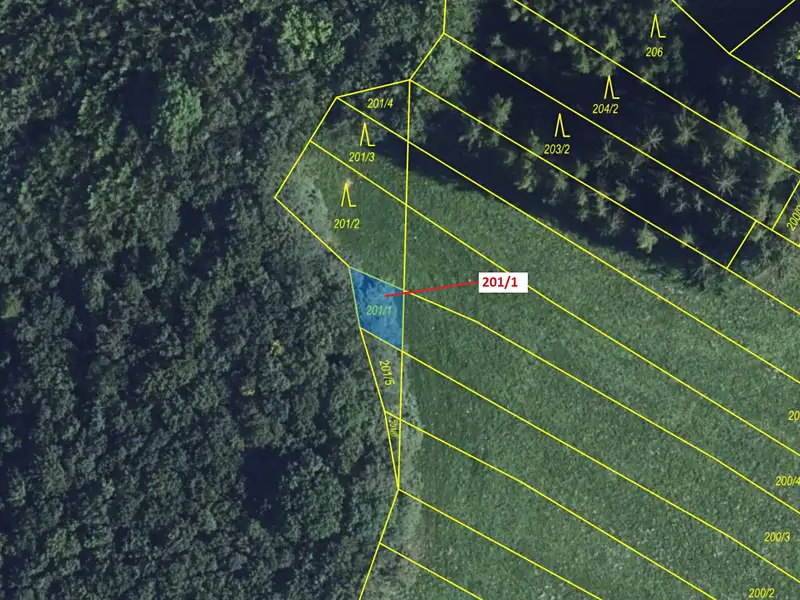 Dražba lesa 92 m², Jenišovice – náhled fotky 2