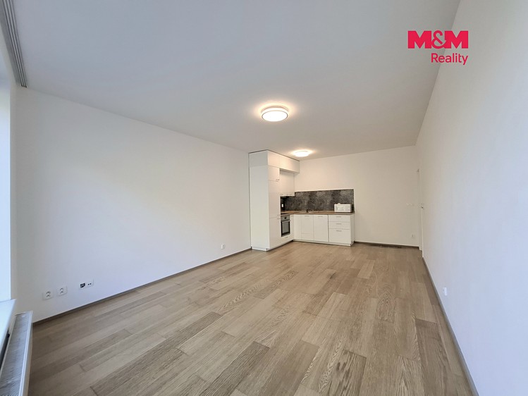 Wohnung 1+kk zur Miete, 41 m² (3 von 12)