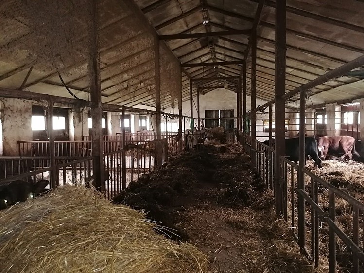 Ділянка на аукціоні, 6 715 м² (9 з 16)