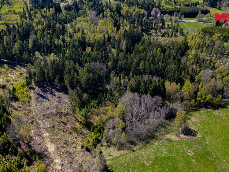 Grundstück zum Kauf, 11.203 m² (5 von 8)