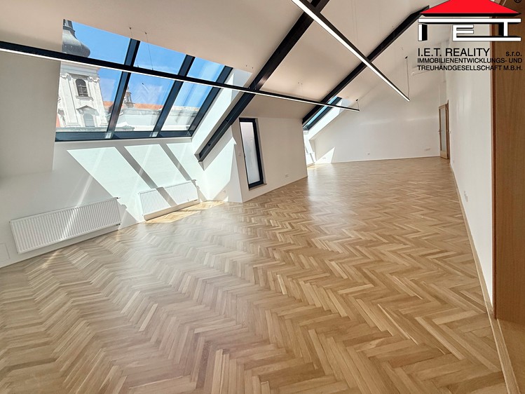 Pronájem komerčního prostoru, 196 m² (4 z 29)
