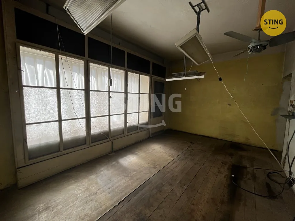 Fotka 4 z 16