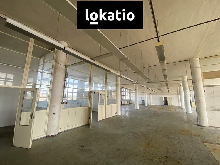 Gewerbefläche zur Miete, 169 m² (2 von 11)