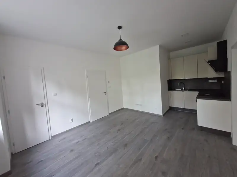 Pronájem bytu 2+kk 50 m², Plzeň – náhled fotky 1