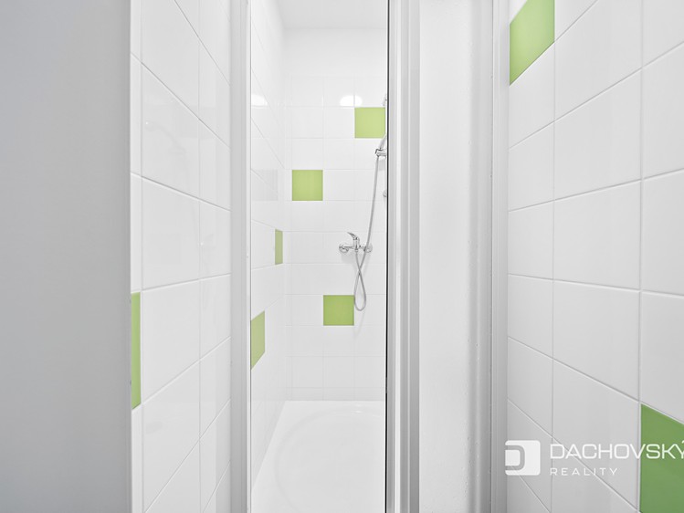 Prodej komerčního prostoru, 374 m² (49 z 52)