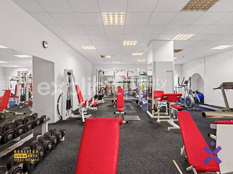 Будинок на продаж, 1 025 м² (37 з 63)