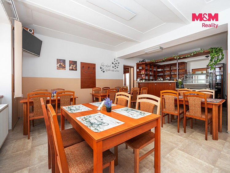 Prodej komerčního prostoru, 340 m² (3 z 25)