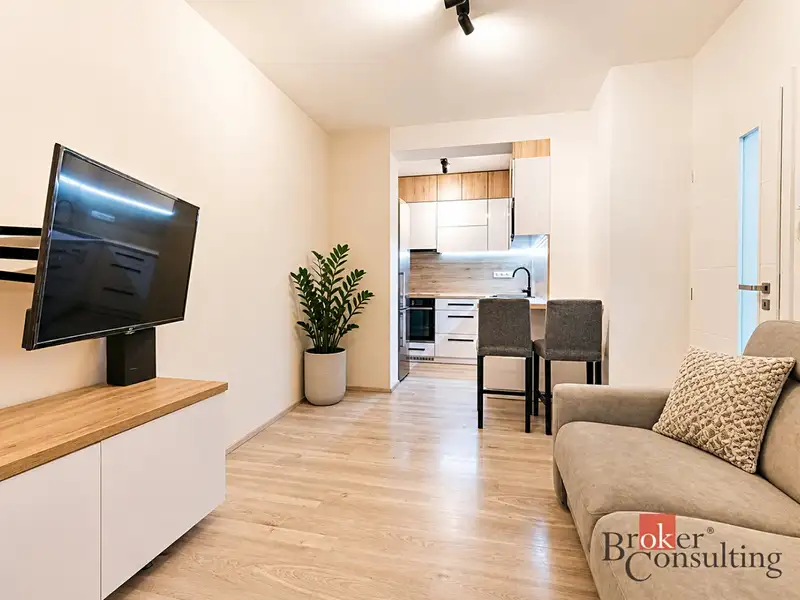 Prodej bytu 1+kk 42 m², Brno – náhled fotky 1