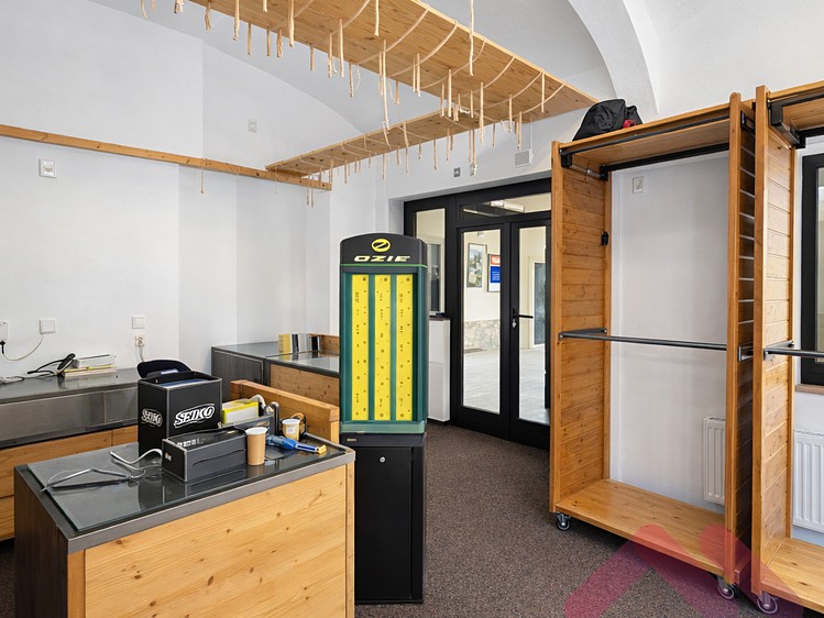Prodej komerčního prostoru, 868 m² (14 z 18)