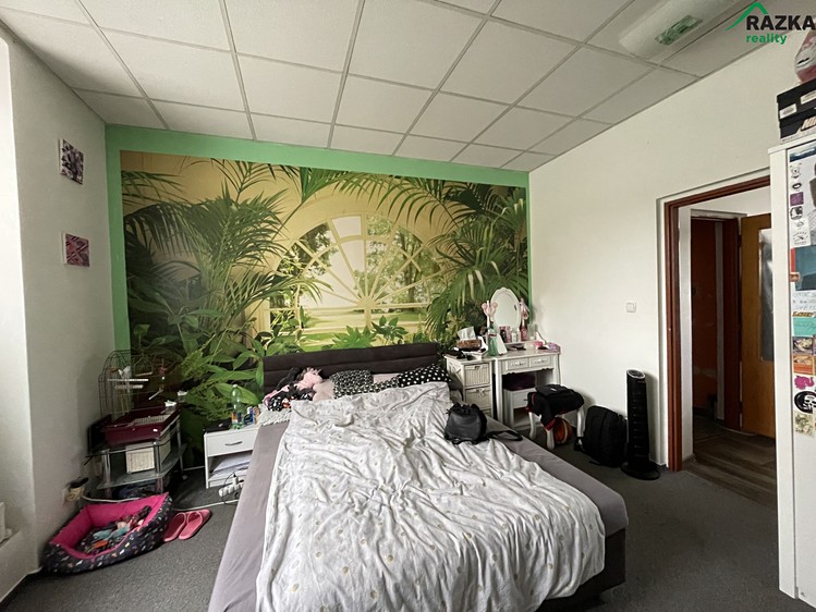 Prodej domu, 257 m² (10 z 30)