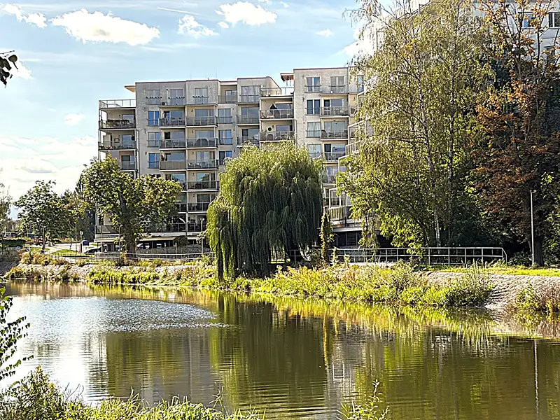 Prodej bytu 2+kk 58 m², České Budějovice – náhled fotky 3