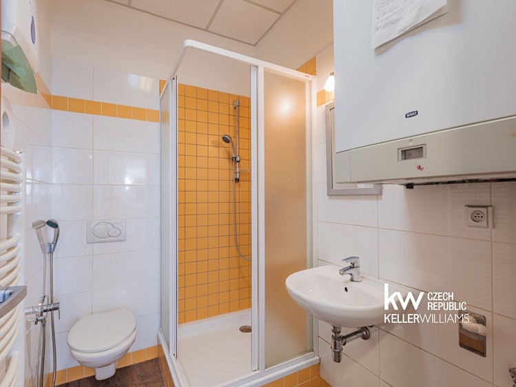 Комерційне приміщення в оренду, 325 м² (9 з 30)