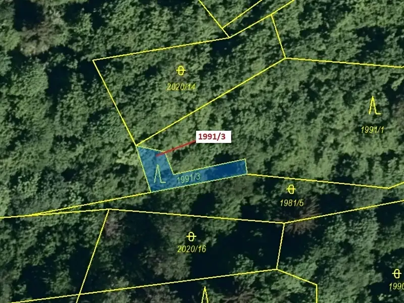 Dražba lesa 115 m², Hovězí – náhled fotky 2