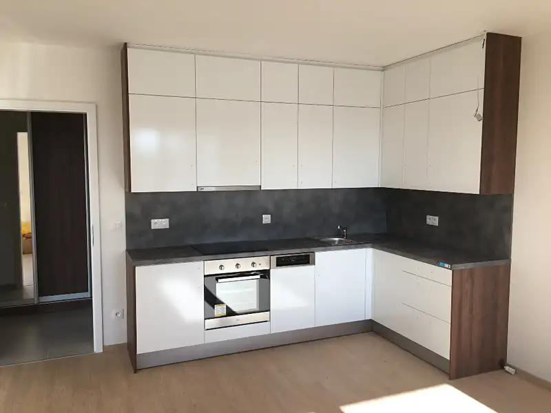Pronájem bytu 1+kk 49 m², Praha – náhled fotky 1