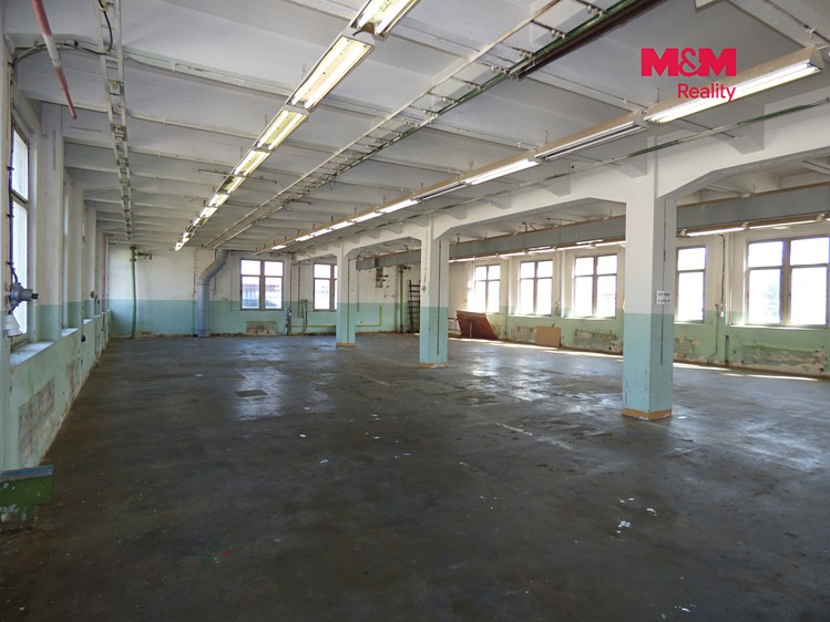 Комерційне приміщення в оренду, 260 м² (8 з 11)