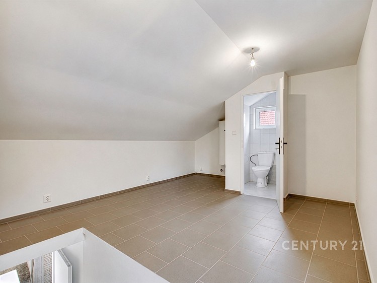 Prodej domu, 354 m² (35 z 59)