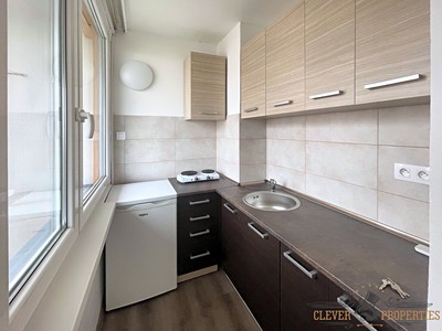Pronájem bytu 1+kk, 31 m² (3 z 8)