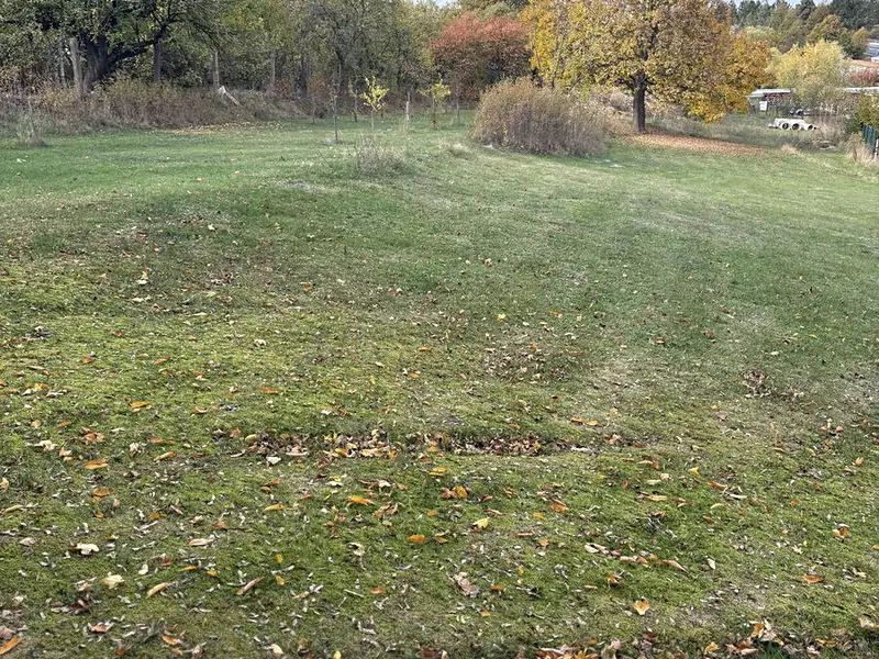 Prodej stavebního pozemku 2948 m², Grešlové Mýto – náhled fotky 3