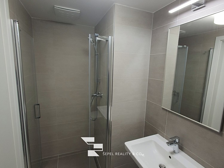 Wohnung 1+kk zur Miete, 24 m² (3 von 13)