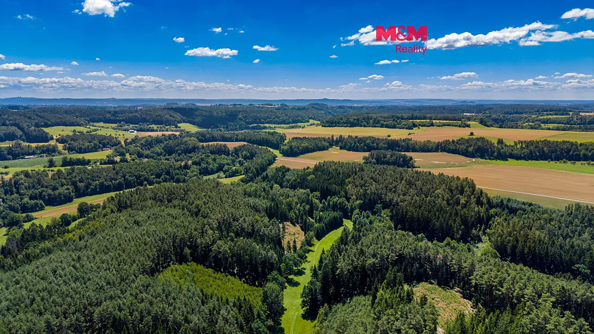 Prodej lesa 57919 m²