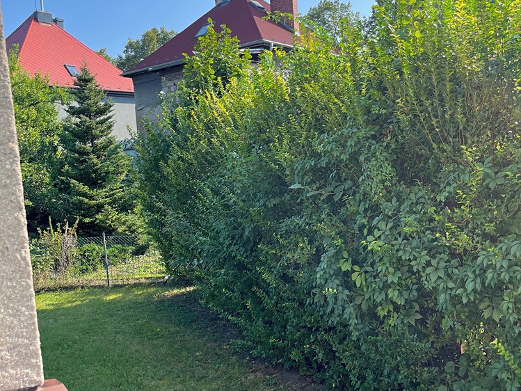 Квартира 1+1 в оренду, 40 м² (10 з 12)