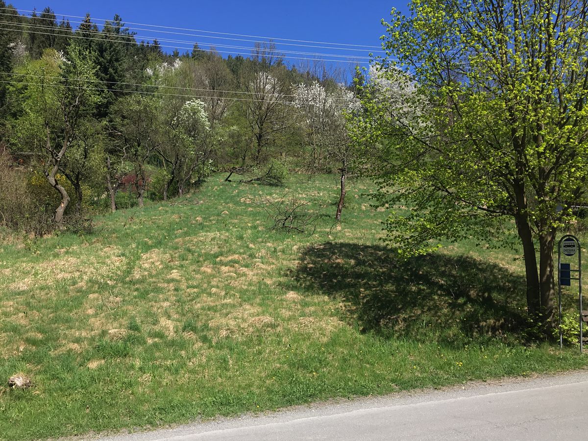 Prodej stavebního pozemku 2579 m², Rusava – fotka 1 z 3