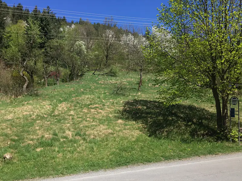 Prodej stavebního pozemku 2579 m², Rusava – náhled fotky 1
