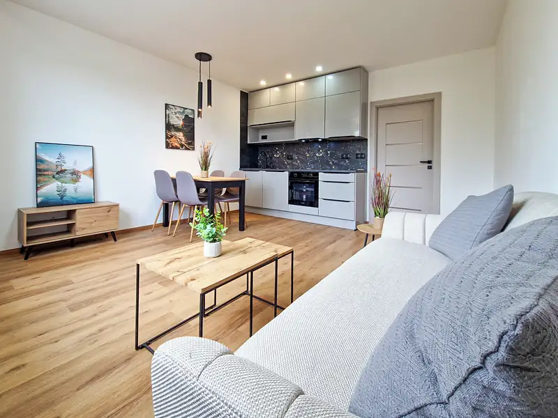 Prodej bytu 3+kk 58 m², Liberec – náhled fotky 1