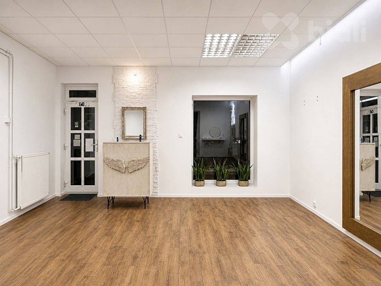 Prodej komerčního prostoru, 632 m² (4 z 25)