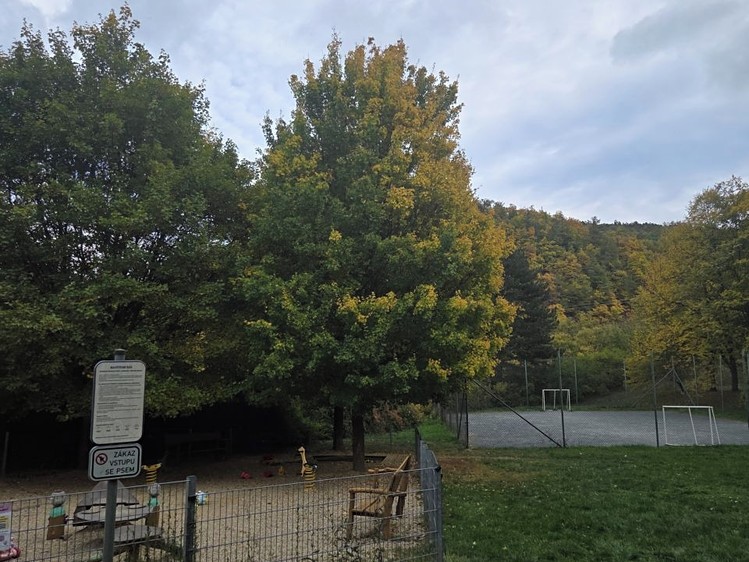 Ostatní