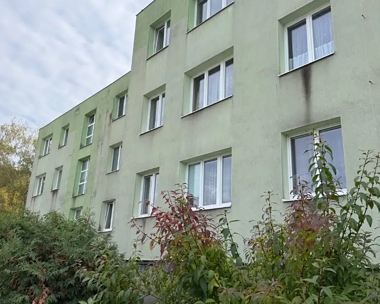 Prodej bytu 2+1 50 m², Teplice – náhled fotky 2
