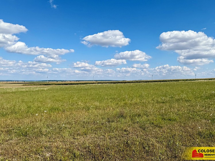 Ostatní