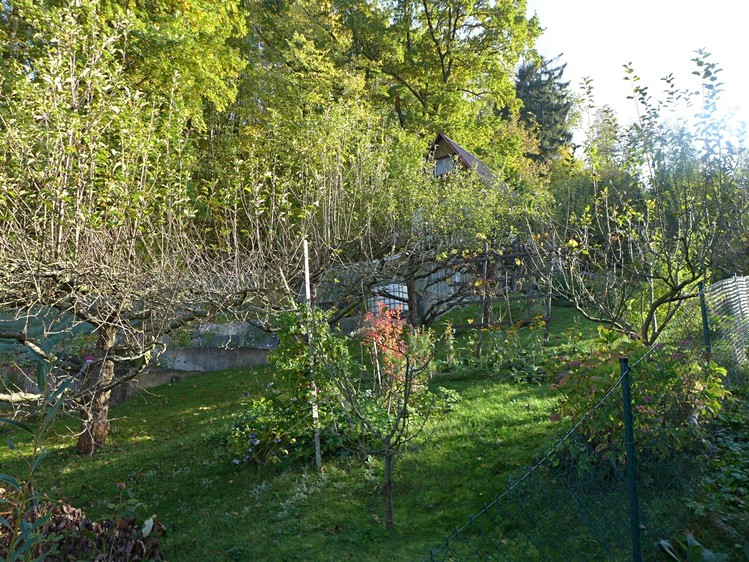 Ділянка на продаж, 502 м² (21 з 21)