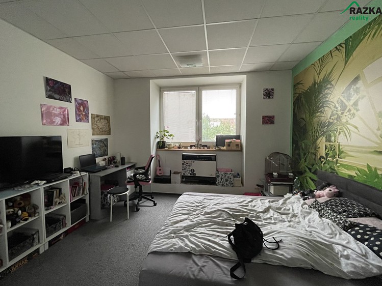 Prodej domu, 257 m² (9 z 30)