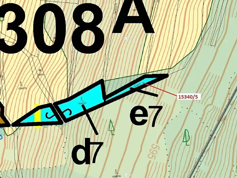 Dražba lesa 312 m², Hovězí – náhled fotky 3