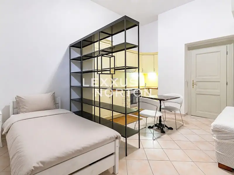 Pronájem bytu 1+kk 41 m², Praha – náhled fotky 2