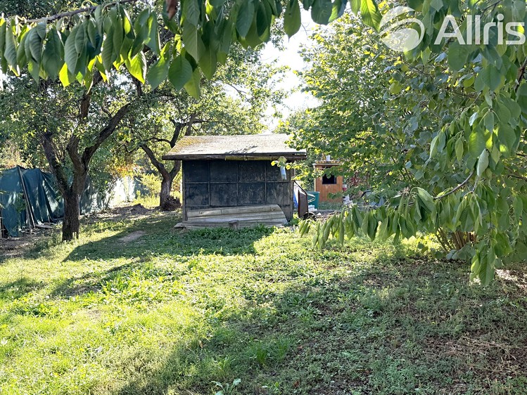Ostatní