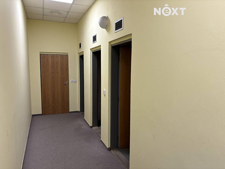 Pronájem komerčního prostoru, 42 m² (12 z 20)