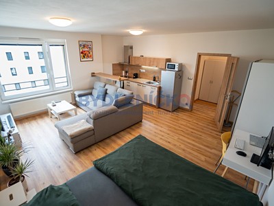 Wohnung 1+kk zum Kauf, 45 m² (2 von 19)