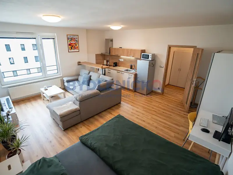 Prodej bytu 1+kk 45 m², České Budějovice – náhled fotky 2