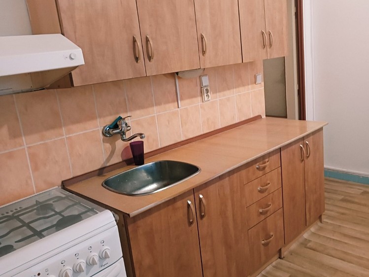 Квартира 1+1 в оренду, 33 м² (1 з 11)