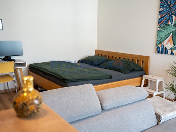 Wohnung 1+kk zum Kauf, 45 m² (9 von 19)